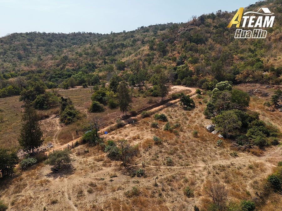 ที่ดินวิวทะเลขนาด 2 Rai โดดเด่นสำหรับขายใน Khao Tao ภาพย่อที่ 12