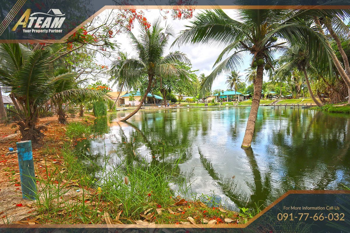 Business for Sale: Hua Hin Fishing Lodge, thumbnail 3