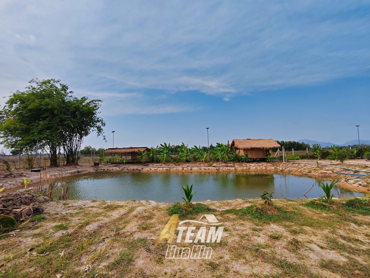 Peaceful Countryside Standalone House on 5 Rai Land in Sam Phraya , thumbnail 20