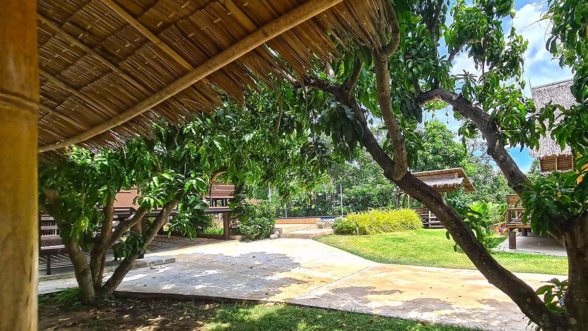 Mango Hills one of a kind resort property in stunning scenic location, thumbnail 47