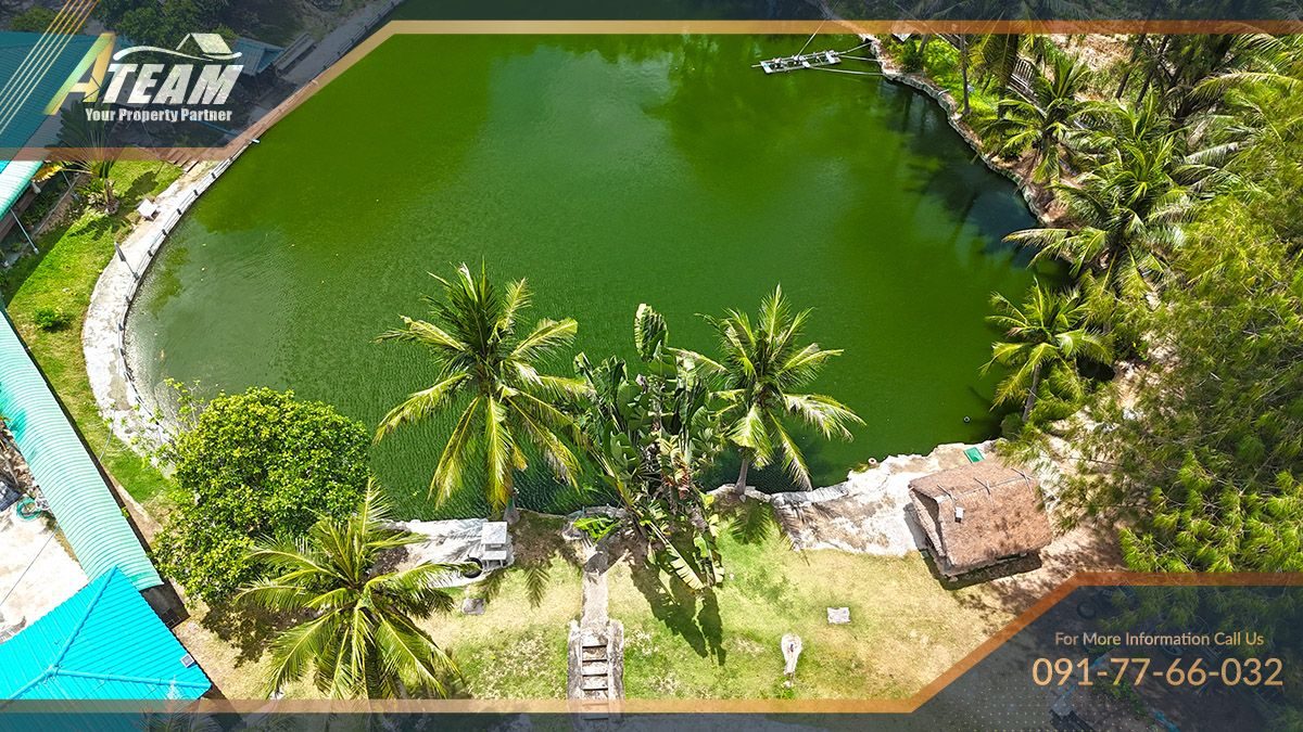 Business for Sale: Hua Hin Fishing Lodge, thumbnail 42