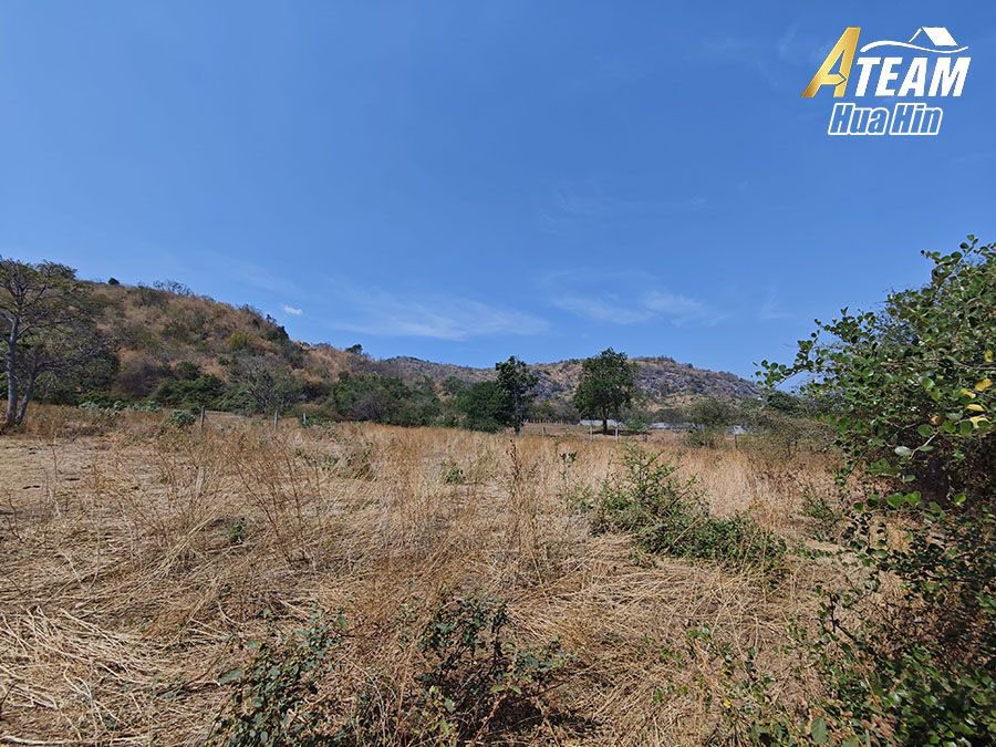 ที่ดินวิวทะเลขนาด 2 Rai โดดเด่นสำหรับขายใน Khao Tao ภาพย่อที่ 20
