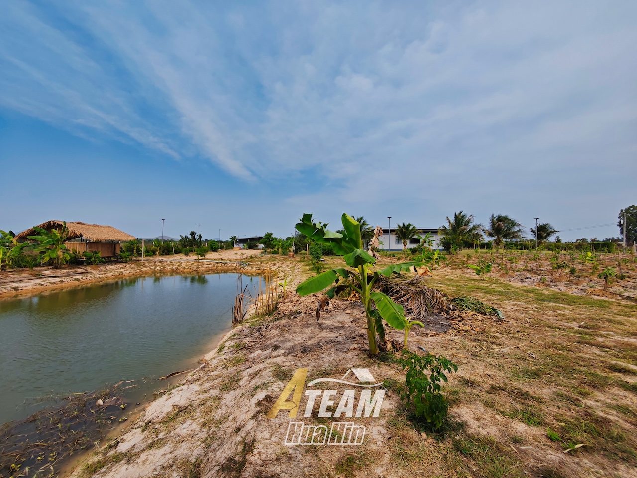 Peaceful Countryside Standalone House on 5 Rai Land in Sam Phraya , thumbnail 21