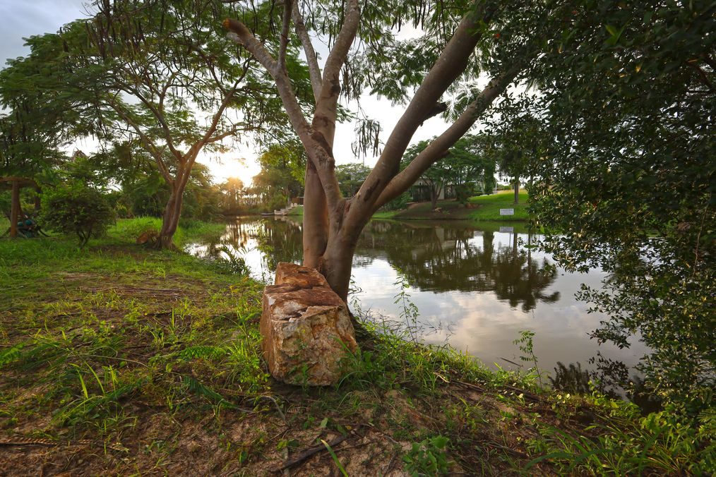 For Sale: 1,240 Sqm Stunning Lakefront Land with Wall and Entrance Arc, thumbnail 7