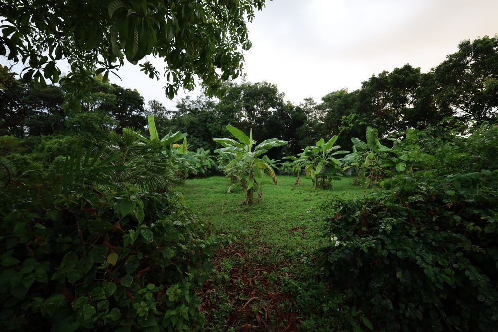 Te koop: Perceel van 1,360 Sqm in Black Mountain, Hua Hin - 3.85 Million T, miniatuur 3