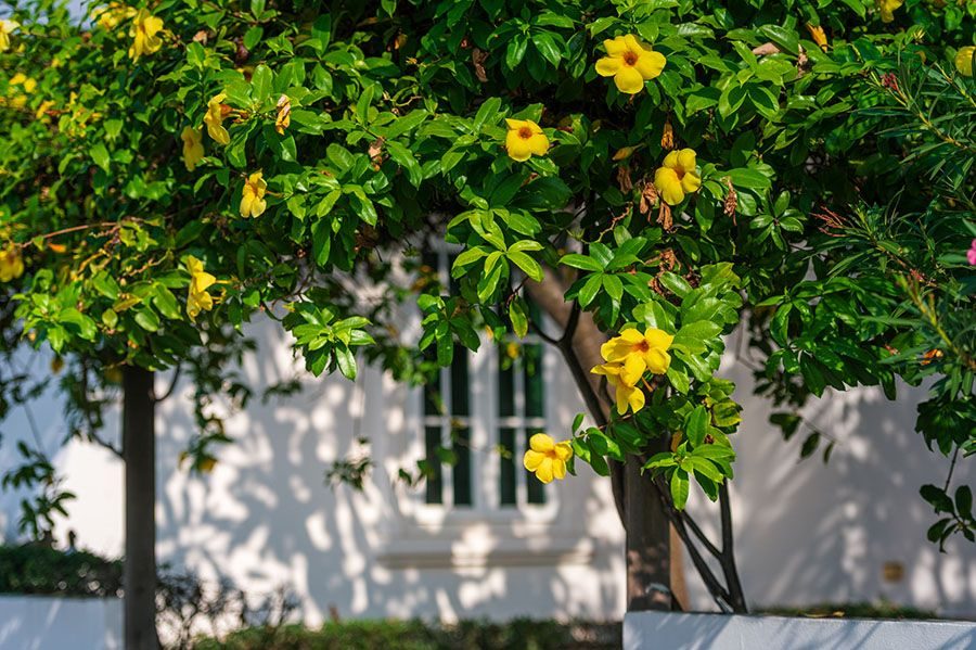 BelVida Parque – Villa Suriya Lagoon, thumbnail 22