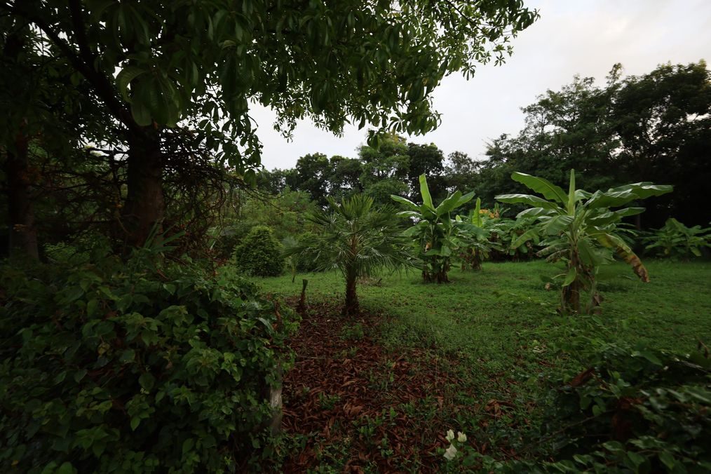 Te koop: Perceel van 1,360 Sqm in Black Mountain, Hua Hin - 3.85 Million T, miniatuur 4