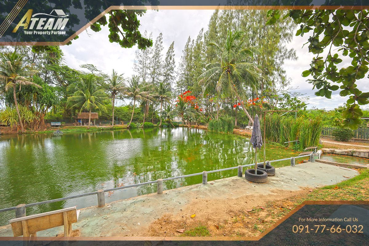Business for Sale: Hua Hin Fishing Lodge, thumbnail 5