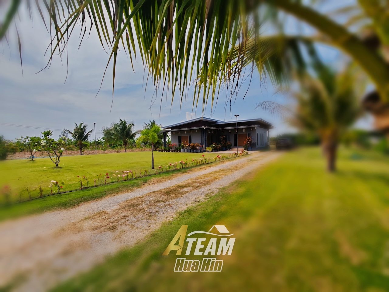 Peaceful Countryside Standalone House on 5 Rai Land in Sam Phraya , thumbnail 22