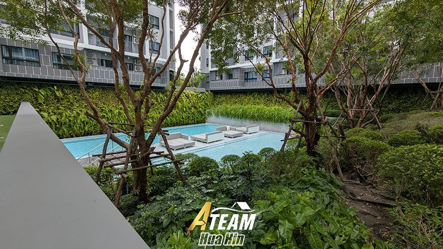 Modern 1-Bedroom  Pool View 2.5 M Dusit D2 Hua Hin , thumbnail 7