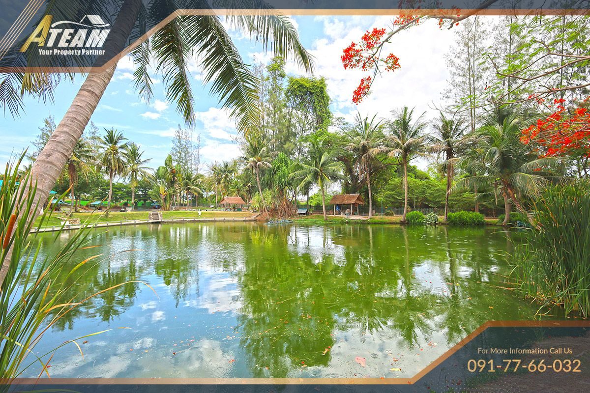 Business for Sale: Hua Hin Fishing Lodge, thumbnail 9