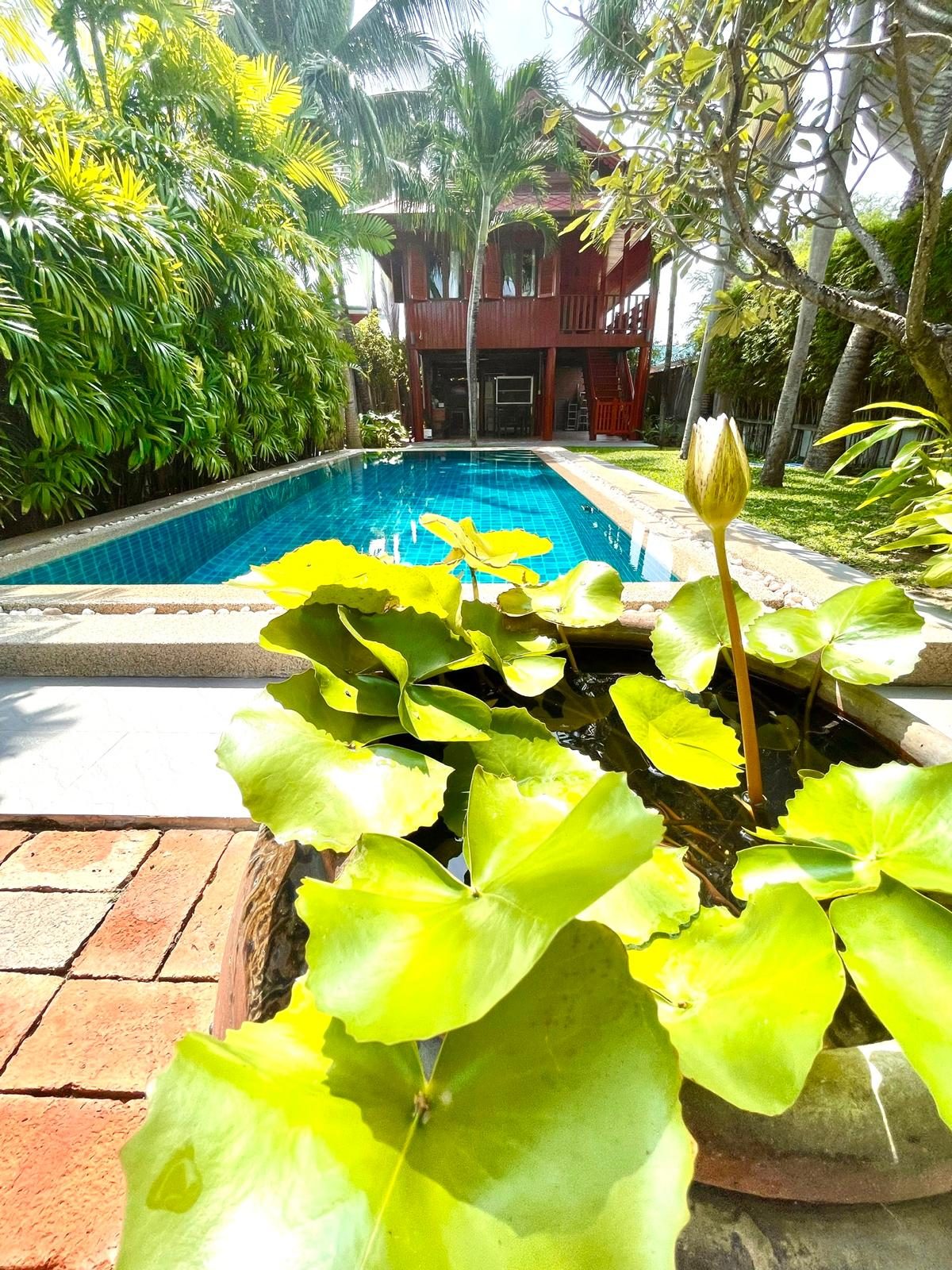 Traditional Thai 2 Bed 2 Bath Teak Wood Pool Villa , thumbnail 21