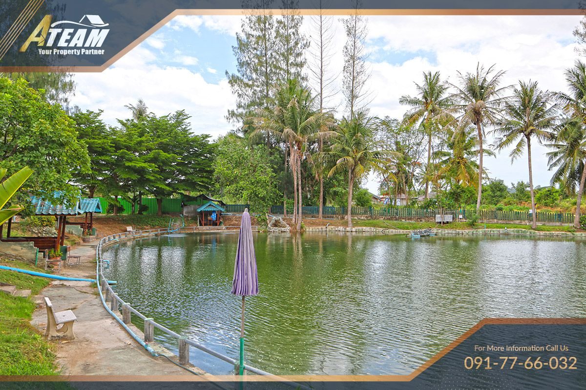 Business for Sale: Hua Hin Fishing Lodge, thumbnail 14