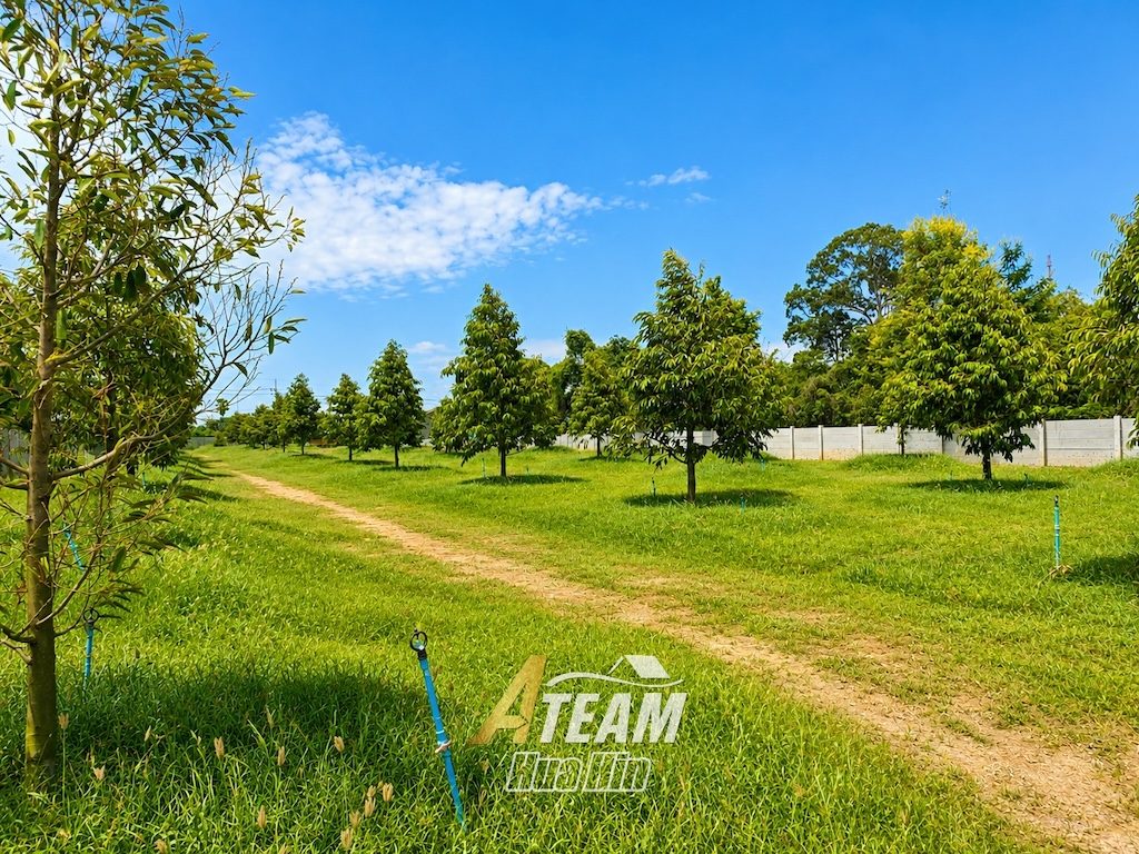 3-Bedroom House for Sale in Cha-Am, thumbnail 25