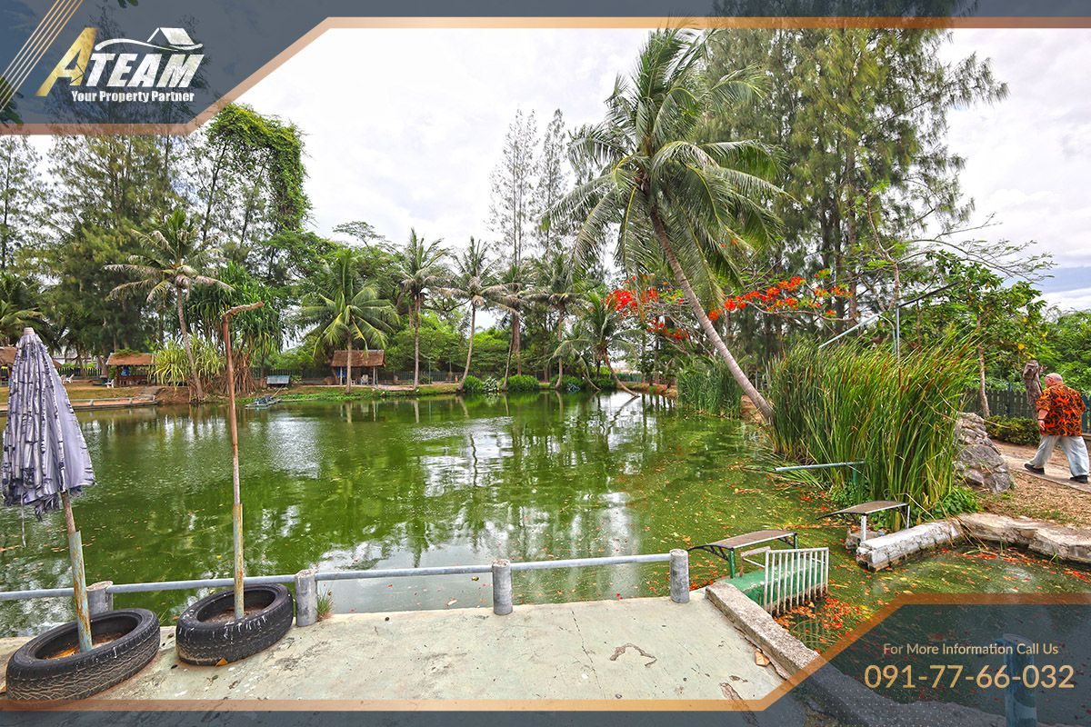 Business for Sale: Hua Hin Fishing Lodge, thumbnail 8