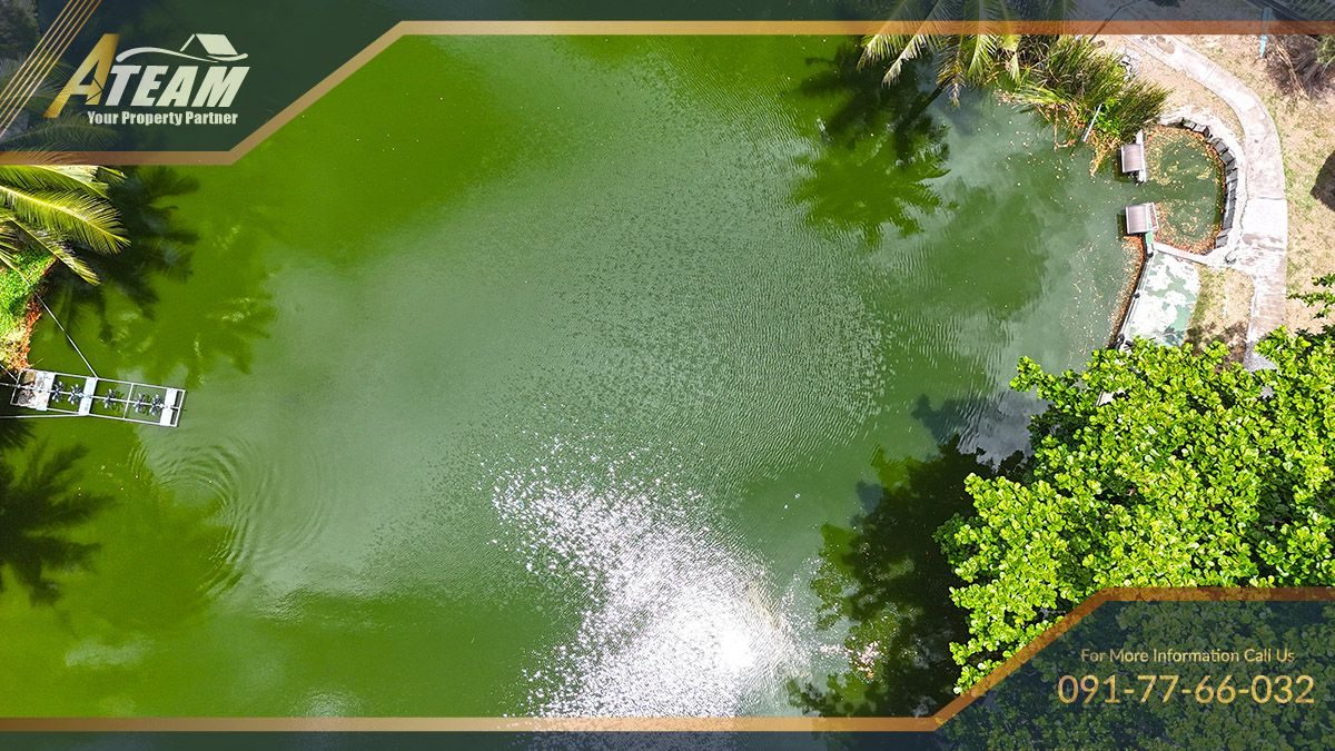 Business for Sale: Hua Hin Fishing Lodge, thumbnail 41