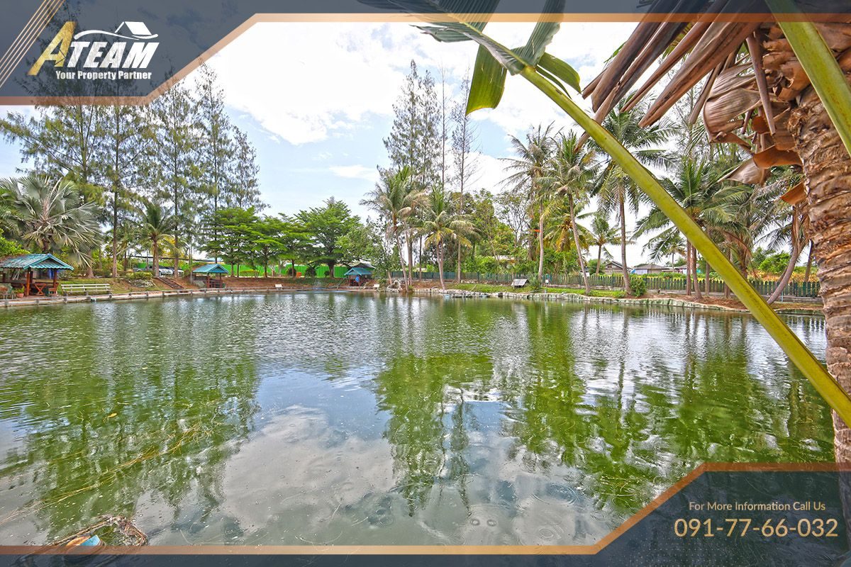 Business for Sale: Hua Hin Fishing Lodge, thumbnail 11