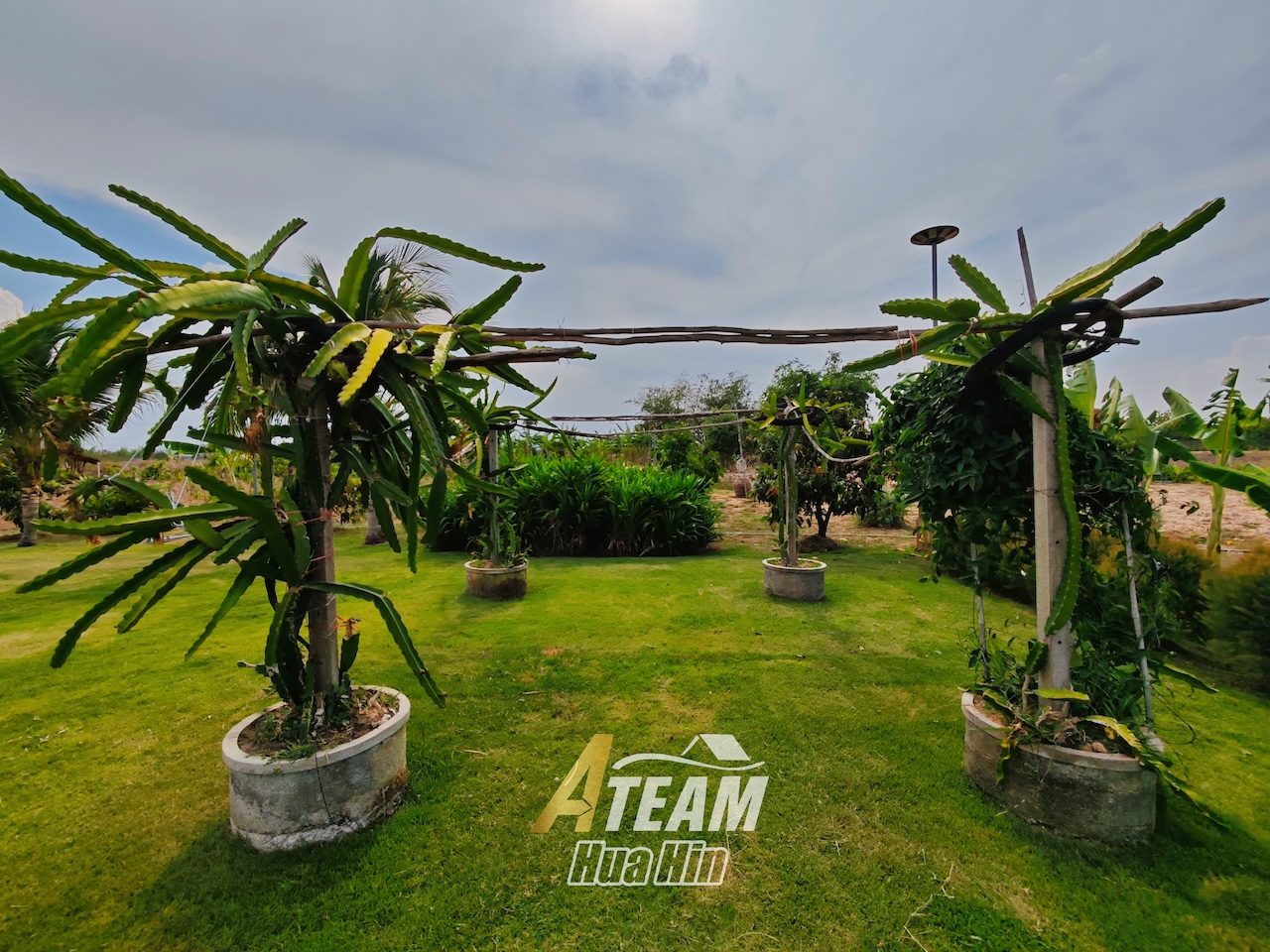 Peaceful Countryside Standalone House on 5 Rai Land in Sam Phraya , thumbnail 19