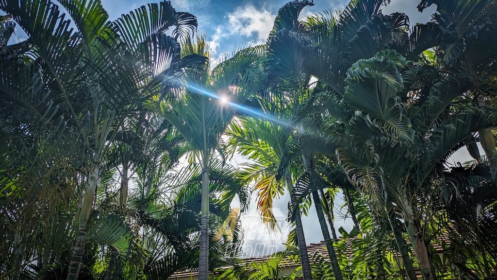 Luxury Pool Villa for rent in Woodland,  Thap Tai , thumbnail 14