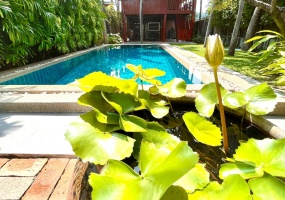 Hua Na, Hua Hin Center , 3 Bedrooms, 2 Bathrooms, House / Villa, For Sale, ,0,1993, A-Team Real estate Hua Na, Hua Hin Center , 3 Bedrooms, 2 Bathrooms, House / Villa, For Sale, ,0,1993, A-Team Real estate