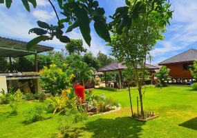 mango-resort-for-sale-sam-roi-yod-view-garden4 mango-resort-for-sale-sam-roi-yod-view-garden4