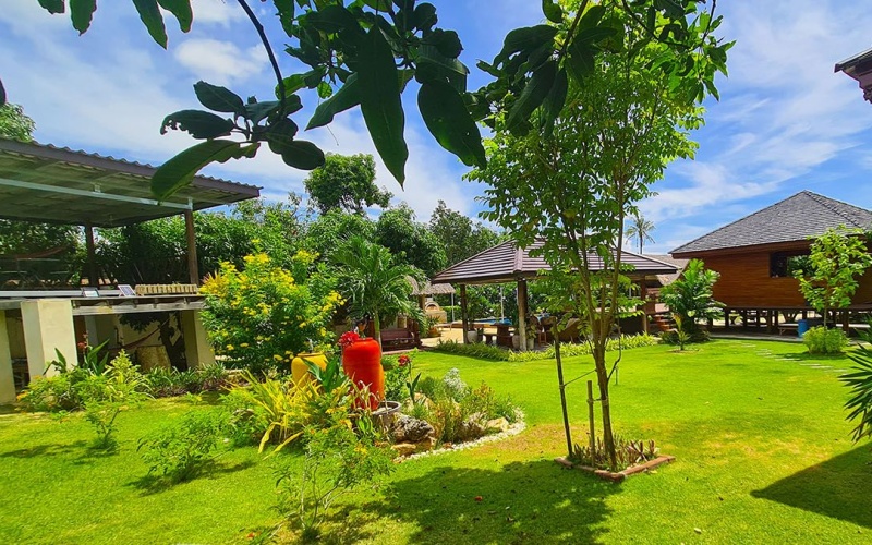 mango-resort-for-sale-sam-roi-yod-view-garden4