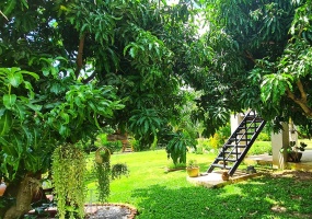 mango-resort-for-sale-sam-roi-yodmango-resort-for-sale-sam-roi-yod-garden6 mango-resort-for-sale-sam-roi-yodmango-resort-for-sale-sam-roi-yod-garden6