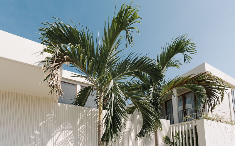 hua hin, Thap Thai, 4 Bedrooms, 4 Bathrooms, House / Villa, For Sale,0,2044, A-Team Real estate