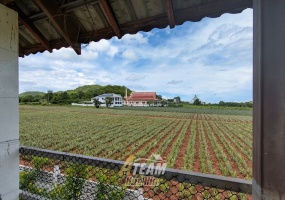 house for sale Wangpong, Hua Hin property, 6 bedroom villa Hua Hin, pavilion villa Hua Hin, Hua Hin renovation property, Wangpong pool villa, Hua Hin fixer-upper, Hua Hin investment property, house with land Hua Hin, villa with pavilion Hua Hin house for sale Wangpong, Hua Hin property, 6 bedroom villa Hua Hin, pavilion villa Hua Hin, Hua Hin renovation property, Wangpong pool villa, Hua Hin fixer-upper, Hua Hin investment property, house with land Hua Hin, villa with pavilion Hua Hin