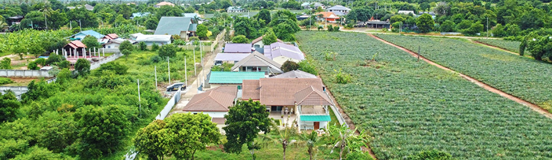 House for Sale in Wangpong – 6 Bedrooms,6 Million THB on 1,200 sqm of 