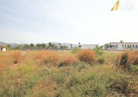 Pran Buri, Wangpong , 0, 0, Land, For Sale, ,0,2392, A-Team Real estate