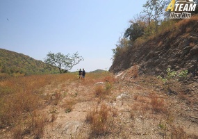 Pak nam pran, Wangpong , 0, 0, Land, For Sale, ,0,2403, A-Team Real estate