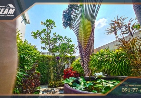 Hua Hin Center, 3 Bedrooms, 3 Bathrooms, House / Villa, For Rent,0,2495, A-Team Real estate