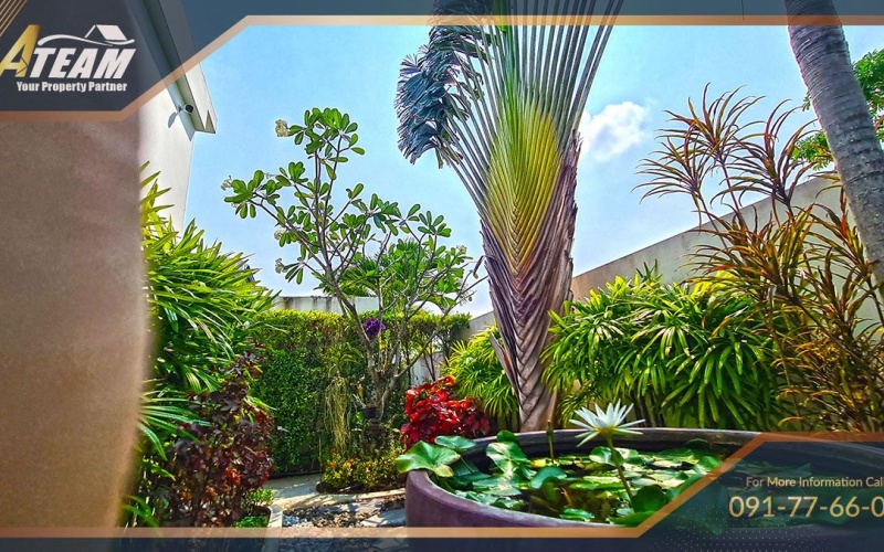 Hua Hin Center, 3 Bedrooms, 3 Bathrooms, House / Villa, For Rent,0,2495, A-Team Real estate