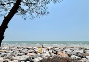 Sam roi yod, Sam Roi Yod , 2 Bedrooms, 2 Bathrooms, House / Villa, For Rent, ,0,2585, A-Team Real estate