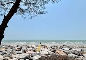 Sam roi yod, Sam Roi Yod , 2 Bedrooms, 2 Bathrooms, House / Villa, For Rent, ,0,2585, A-Team Real estate