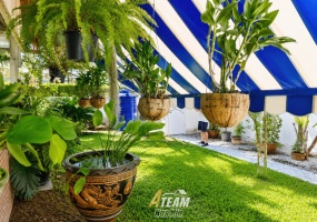 Hua Hin, Borfai , 2 Bedrooms, 1 Bathroom, House / Villa, For Sale, ,0,2600, A-Team Real estate Hua Hin, Borfai , 2 Bedrooms, 1 Bathroom, House / Villa, For Sale, ,0,2600, A-Team Real estate
