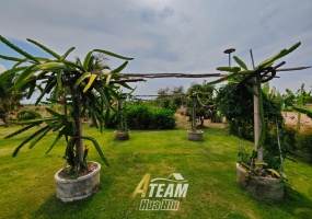Cha Am, Cha Am , 2 Bedrooms, 2 Bathrooms, House / Villa, For Sale, ,0,2611, A-Team Real estate Cha Am, Cha Am , 2 Bedrooms, 2 Bathrooms, House / Villa, For Sale, ,0,2611, A-Team Real estate