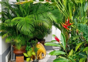 Cha am, Cha Am , 2 Bedrooms, 2 Bathrooms, House / Villa, For Sale, ,0,2642, A-Team Real estate Cha am, Cha Am , 2 Bedrooms, 2 Bathrooms, House / Villa, For Sale, ,0,2642, A-Team Real estate