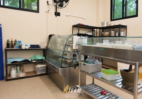 Borfai , 0, 2 Bathrooms, Commercial, For Sale, ,0,2653, A-Team Real estate Borfai , 0, 2 Bathrooms, Commercial, For Sale, ,0,2653, A-Team Real estate