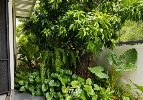Borfai , 0, 2 Bathrooms, Commercial, For Sale, ,0,2653, A-Team Real estate Borfai , 0, 2 Bathrooms, Commercial, For Sale, ,0,2653, A-Team Real estate