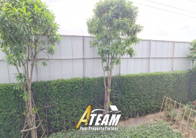Hua Hin Center , 1 Bedroom, 1 Bathroom, Apartment / Condo, For Rent, ,1200, A-Team Real estate