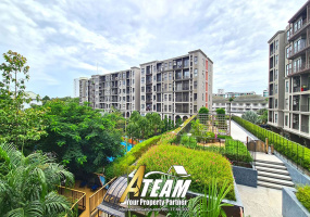 Takiap , 1 Bedroom, 1 Bathroom, Apartment / Condo, For Rent, ,1225, A-Team Real estate