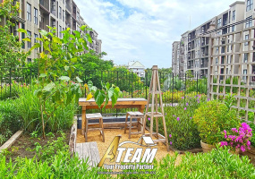 Takiap , 1 Bedroom, 1 Bathroom, Apartment / Condo, For Rent, ,1225, A-Team Real estate