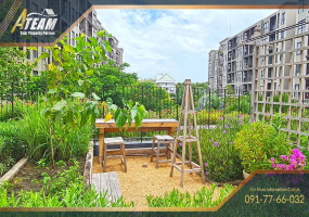Takiap , 2 Bedrooms, 2 Bathrooms, Apartment / Condo, For Rent, ,1262, A-Team Real estate