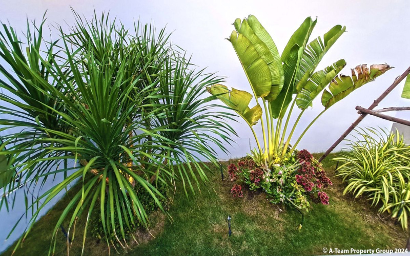 Thap Thai , 3 Bedrooms, 2 Bathrooms, House / Villa, For Sale, ,1268, A-Team Real estate