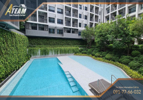 Hua Hin Center , 1 Bedroom, 1 Bathroom, Apartment / Condo, For Rent, ,1276, A-Team Real estate
