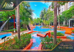 Takiap , 1 Bedroom, 1 Bathroom, Apartment / Condo, For Rent, ,1293, A-Team Real estate