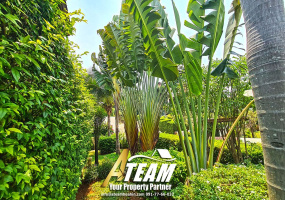 Khao Tao , 3 Bedrooms, 3 Bathrooms, House / Villa, For Rent, ,1304, A-Team Real estate