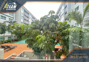 Hua Hin Center , 1 Bedroom, 1 Bathroom, Apartment / Condo, For Rent, ,1306, A-Team Real estate